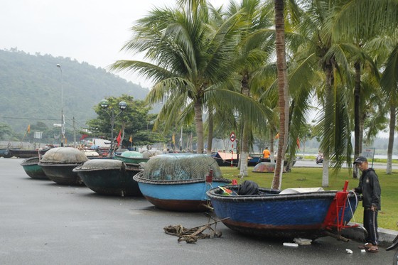 Đà Nẵng ráo riết chuẩn bị phòng bão số 5 ảnh 4