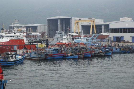 Đà Nẵng ráo riết chuẩn bị phòng bão số 5 ảnh 7 Đà Nẵng ráo riết chuẩn bị phòng bão số 5 ảnh 7