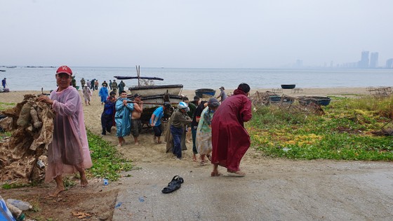 Đà Nẵng ráo riết chuẩn bị phòng bão số 5 ảnh 1 Đà Nẵng ráo riết chuẩn bị phòng bão số 5 ảnh 1