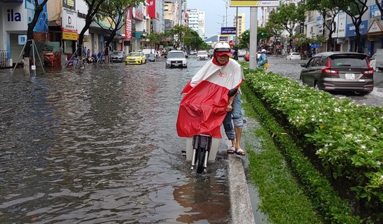 Bão số 5 gây lốc xoáy và mưa lớn nhiều nơi ảnh 15