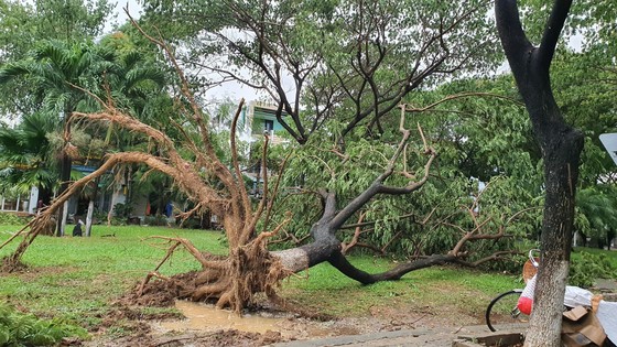 Bão số 5 gây lốc xoáy và mưa lớn nhiều nơi ảnh 19