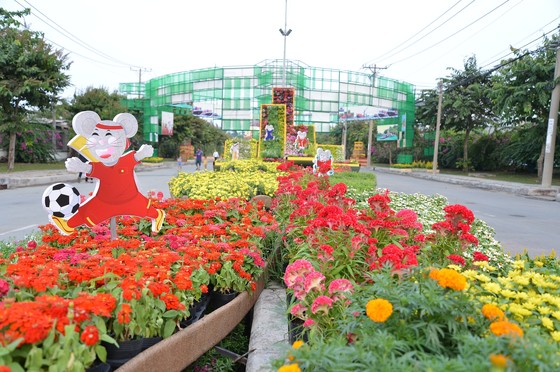 Khai mạc hội hoa xuân phục vụ bà con ngoại thành ảnh 2