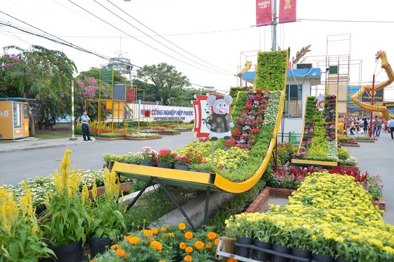 Khai mạc hội hoa xuân phục vụ bà con ngoại thành ảnh 3