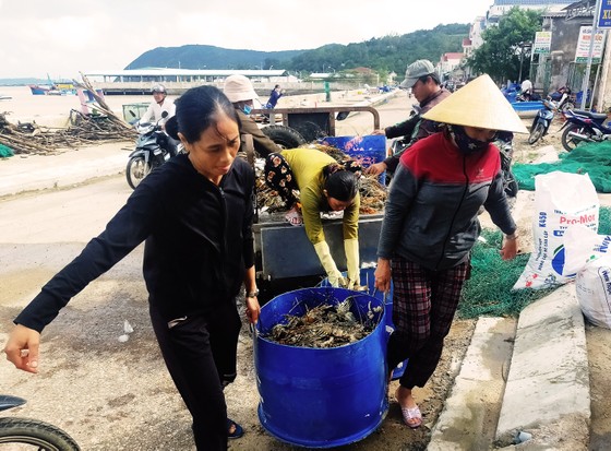 Nước mắt người nuôi tôm hùm Sông Cầu sau lũ ảnh 6 Người nuôi tôm hùm Sông Cầu trắng tay sau lũ ảnh 6