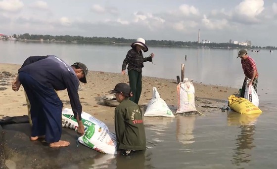 Mưu sinh giữa mùa dịch ảnh 2 Mưu sinh giữa mùa dịch ảnh 2