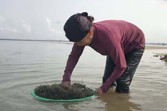 Mưu sinh giữa mùa dịch ảnh 6 Mưu sinh giữa mùa dịch ảnh 6