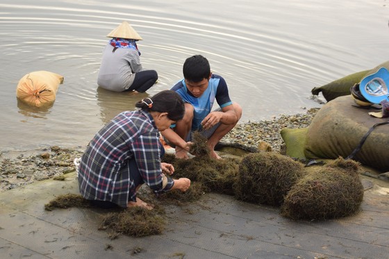 Mưu sinh giữa mùa dịch ảnh 3 Mưu sinh giữa mùa dịch ảnh 3