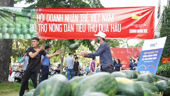 Hội Doanh nhân trẻ VN hỗ trợ tiêu thụ 40 tấn dưa hấu, thanh long cho bà con nông dân ảnh 3