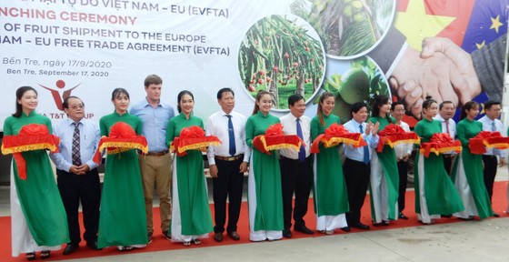 Xuất khẩu lô hàng trái cây đầu tiên theo Hiệp định EVFTA ảnh 1 Xuất khẩu lô hàng trái cây đầu tiên sang châu Âu theo Hiệp định EVFTA ảnh 1