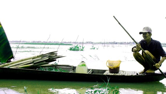 Mekong Delta Should Actively Cope With Flooding After - 