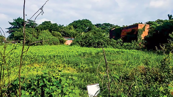 Quang cảnh thực tế dự án trên đường Dương Thị Giang.