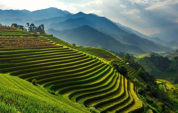 Công bố 8 nghị quyết của Uỷ ban Thường vụ Quốc hội  Thị xã Sa Pa được thành lập theo Nghị quyết số 767/NQ-UBTVQH14 của UBTVQH. Ảnh: Internet