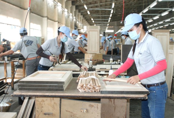 Sản xuất gỗ tại Công ty Kaiser Việt Nam, Khu công nghiệp Mỹ Phước,  thị xã Bến Cát, Bình Dương