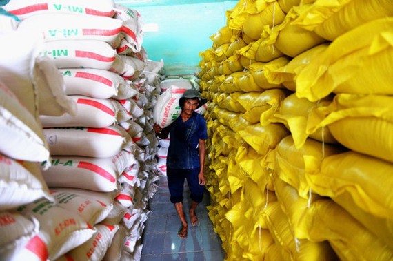 Bộ Công thương, Tài chính phải báo cáo Thủ tướng việc xuất khẩu gạo