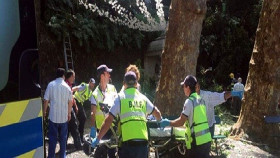 葡萄牙馬德拉群島巨樹倒塌導致的12人遇難，50人受傷。（圖源：互聯網）