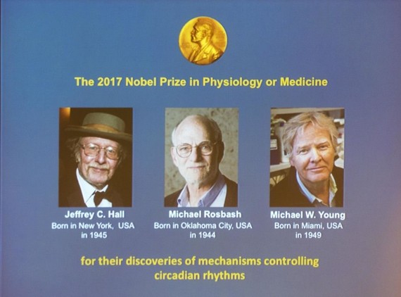瑞典卡羅琳醫學院2日宣佈，將2017年諾貝爾生理學或醫學獎授予三名美國科學家傑弗裏·霍爾、邁克爾·羅斯巴什和邁克爾·揚，以表彰他們在研究生物鐘運行的分子機制方面的成就。 （圖源：新華網）