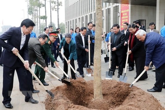 國會主席阮氏金銀(左四)同與會代表一起參加種植羊蹄甲樹。（圖源：仲德/越通社）