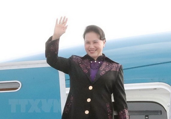 國會主席阮氏金銀圓滿結束訪問荷蘭 ảnh 1