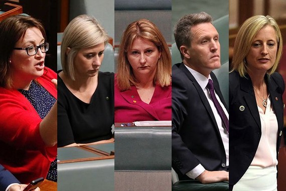 澳大利亞5名新當選的國會議員因雙重國籍而離職。左起：凱伊（Justine Keay）、蘭姆（Susan Lamb）、獨立眾議員沙基（Rebekha Sharkie）、工黨眾議員威爾遜（Josh Wilson）、工黨參議員加拉格爾（Katy Gallagher）。（圖源：互聯網）