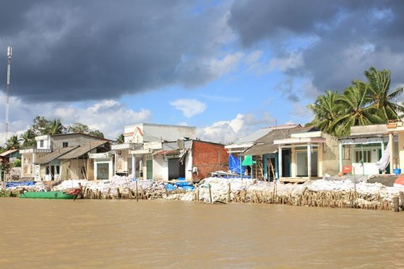 芹苴市逾千沿河民戶遷往安全地方。（圖源：翠安）