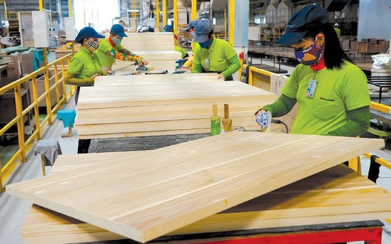 木材與木製品出口金額約達72億3000萬美元，上升16.12%。（圖源：互聯網）