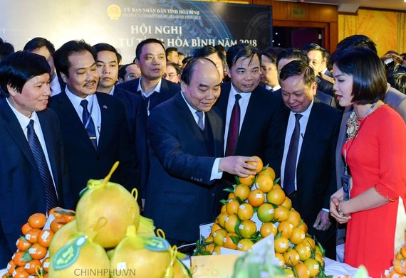 政府總理阮春福參觀和平省農產品展位。（圖源：光孝）