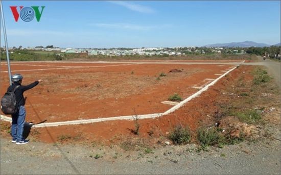 圖為嘉萊省百里居市的某塊地皮違規劃分後出售轉讓。（圖源：VOV）