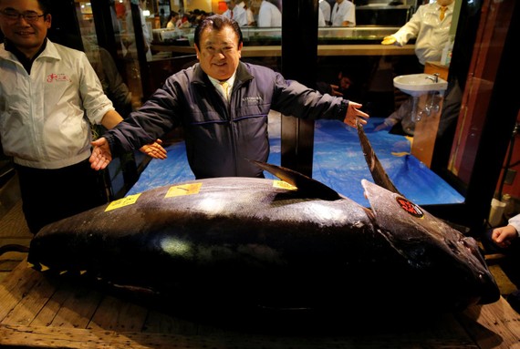 全球最貴的金槍魚在這裡，拍賣價藍鰭金槍魚以3億3360萬日元(約合3100萬美元)。（圖源：路透社）