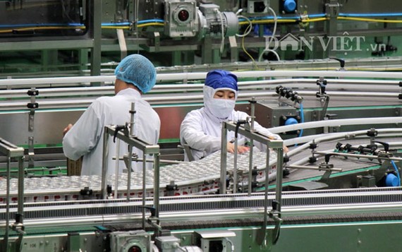 Tanifood 果蔬加工廠自動化生產線。（圖源：元偉）