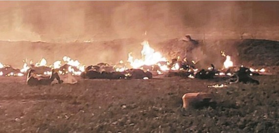 墨西哥疑偷油不慎遺火種令輸油管爆炸 ảnh 1