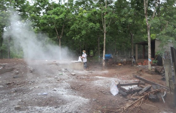 平福省獸醫局人員在同富縣新富鎮新蓮街區的阮德仁養豬場及其周邊進行消毒。（圖源：N.N）