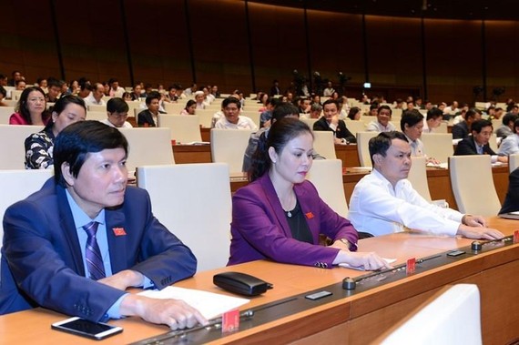 國會代表按鈕通過2020年國會監察計劃《決議》。（圖源：明陲）