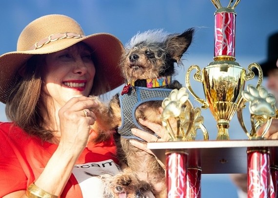 「無賴流浪漢」奪得「全球最醜狗」冠軍。（圖源：Getty Images）