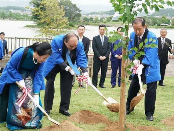 阮春福總理偕夫人和自民黨幹事長、日越友協聯盟主席二階俊博在紀之川市共同種下櫻花樹以記取這次特別的事件。（圖源：VOV）