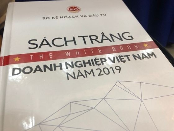 2019年越南企業白皮書。（圖源：明山）