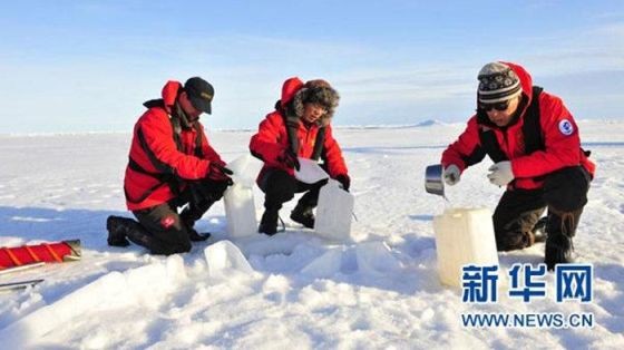 研究團隊在收集北極雪花樣本。（圖源：新華社）