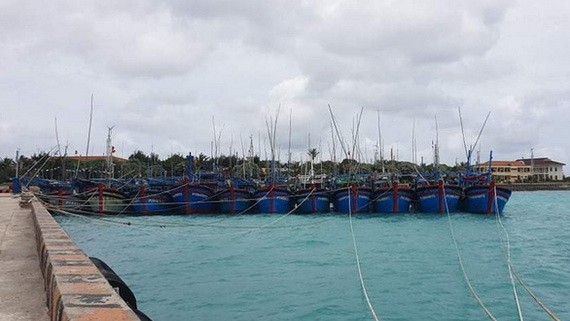 多艘漁船在長沙島縣生存島上的船閘處拋錨避風。（圖源：公歡）