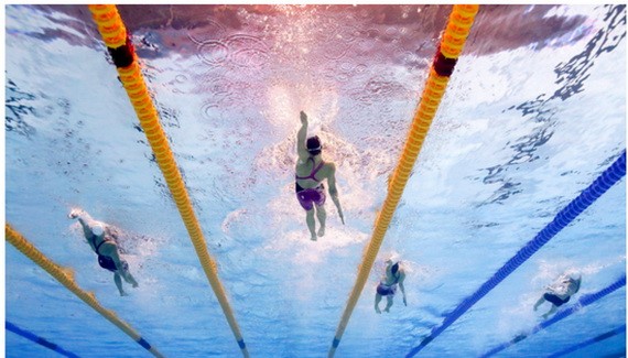 游泳比賽。（圖源：互聯網）