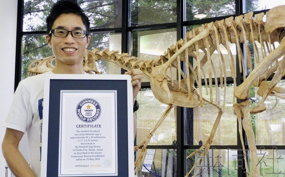 世界上最小的非鳥恐龍蛋化石獲得了吉尼斯世界紀錄的認證。（圖源：共同社）