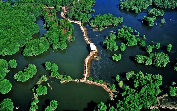 芹耶紅樹林獲聯合國教科文組織列入世界生物圈儲備區名錄。