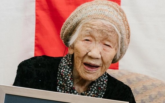 “全球在世最長壽女性”的日本老人田中力子2日迎來118歲生日。（圖源：互聯網）