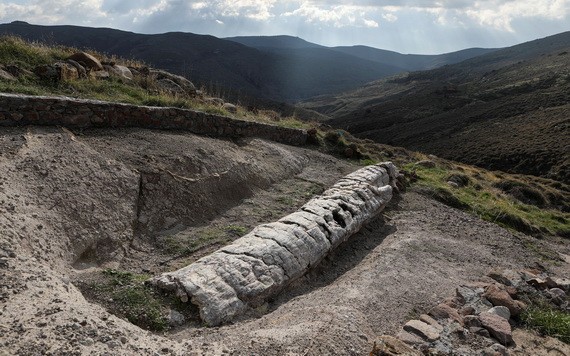 當地時間1月21日，希臘萊斯博斯島，罕見的化石樹被挖掘出土。（圖源：互聯網）