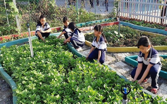 范雄學校少先隊隊員在打理「幫助同學的菜園」。