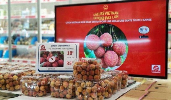 越南荔枝在法國巴黎一超市架上亮相。（圖源：秋莊）