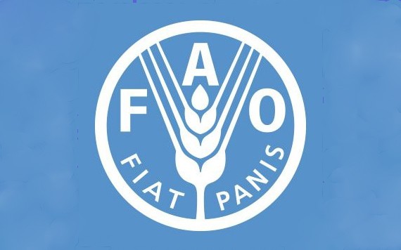 聯合國糧農組織(FAO)推特截圖