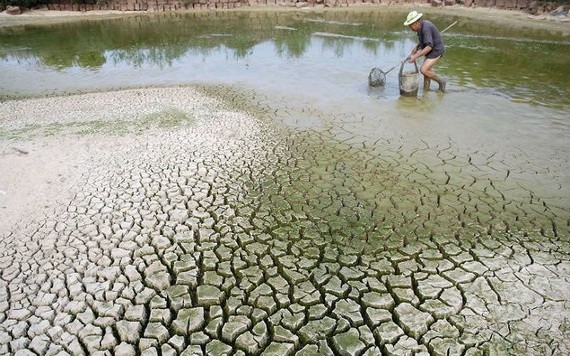 越南是受氣候變化影響最嚴重的國家之一。（圖源：莊陳）