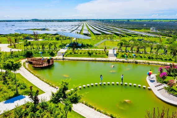 第八號電力規劃:打造綠色增長 ảnh 5