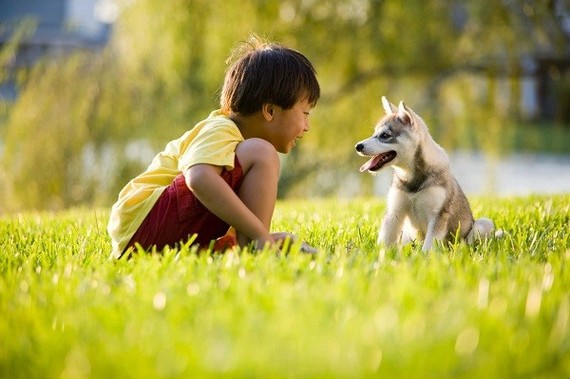 （示意圖：互聯網）