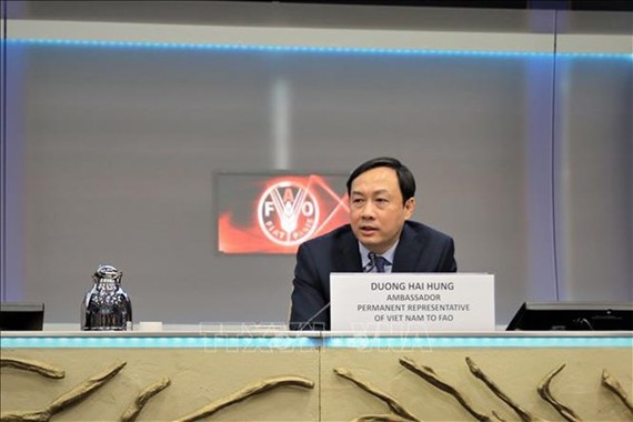 越南常駐世界糧食計劃署代表楊海興大使。（圖：越通社）