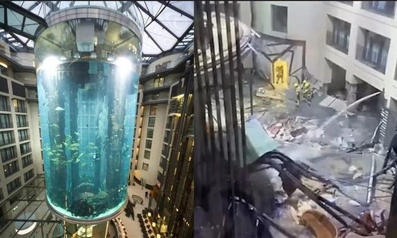 全球最大圓柱水族箱爆裂